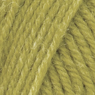 Junior Raggi 50g - Vert olive Junior Raggi 50g - Vert olive