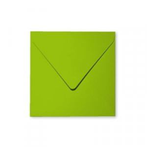Enveloppes Pollen 165x165 - Paquet de 20 - Vert intense Enveloppes Pollen 165x165 - Paquet de 20 - Vert intense