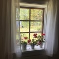 Image client Demi Lin Voile Rand - Blanc - 150 cm