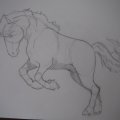 Image client Crayon Toison D'or - 10H