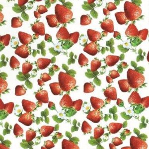 Fraises en bâche Fraises en bâche