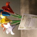 Image client Papier coloré A4, 80 gr, 100 feuilles