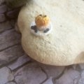 Image client Modelage Fimo Soft 57g - Blanc