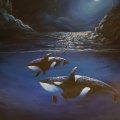Image client Bloc de peinture acrylique 400 g 30x40 cm