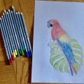 Image client Set de stylos aquarelle Goldfaber Aqua - 24 stylos