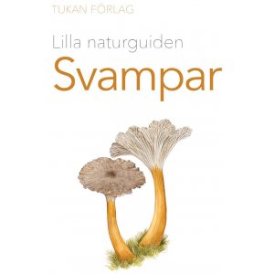 Petit guide nature : Les champignons Petit guide nature : Les champignons