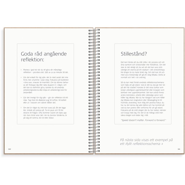 Journal de solde Journal de solde