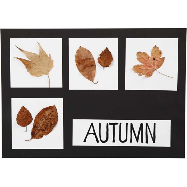 Carton - noir et blanc A2, A3, A4 - 600 pcs