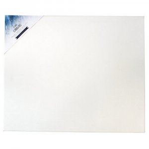 Pack de 2 Canvas Sense - F8 Pack de 2 Canvas Sense - F8
