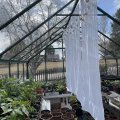 Image client B1 Voile ortie 300cm Blanc blanchi