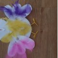 Image client Plumes couleurs mélangées - 200 pcs