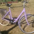 Image client MTN 94 400ml - RV-172 Violet Destin
