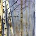 Image client Peinture aquarelle W&N Cotman Demi-tasse - 465 Payne's gray