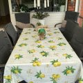 Image client B�che PVC Citrons - Blanc