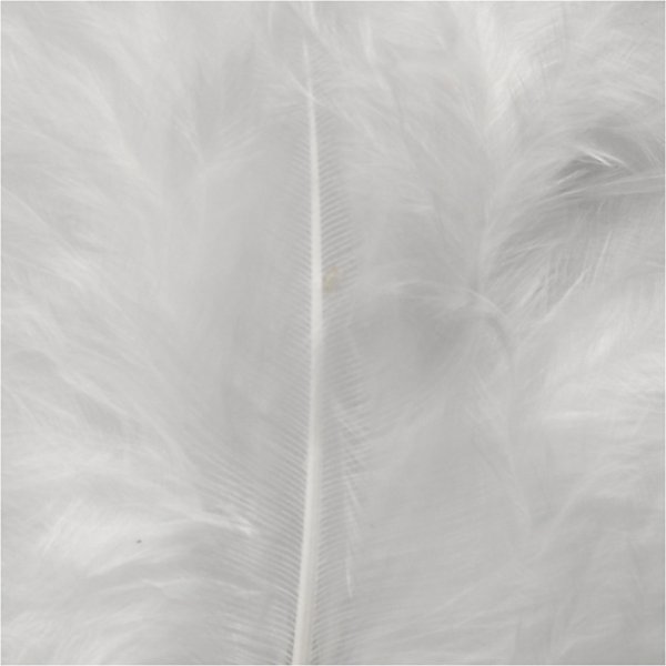 Duvet - blanc - 50 g Duvet - blanc - 50 g