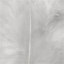 Duvet - blanc - 50 g