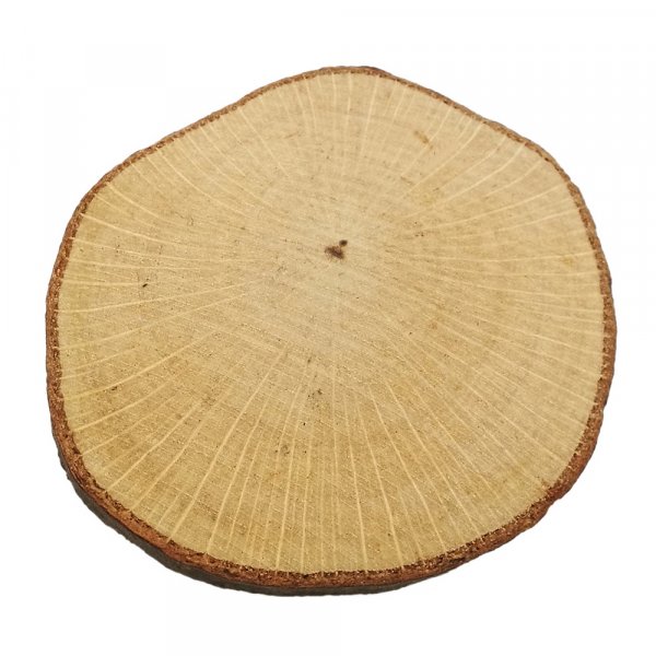 Planche de bois non trait - paquet de 10