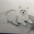 Image client Stylo gomme Tombow MONO zéro ř 2,3mm - Blanc