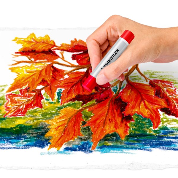 Ojepastel Design Journey - 12 crayons de couleur Ojepastel Design Journey - 12 crayons de couleur