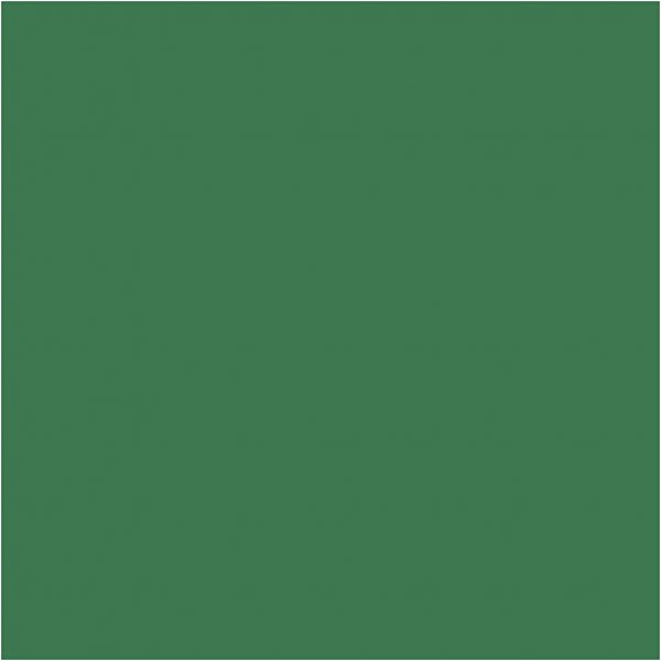 Papier de soie - vert - 50 x 70 cm - 14 g -25 feuilles