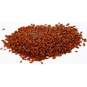 Graines de cresson - 30 g Graines de cresson - 30 g