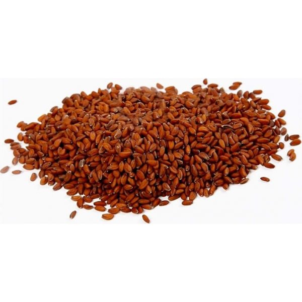 Graines de cresson - 30 g