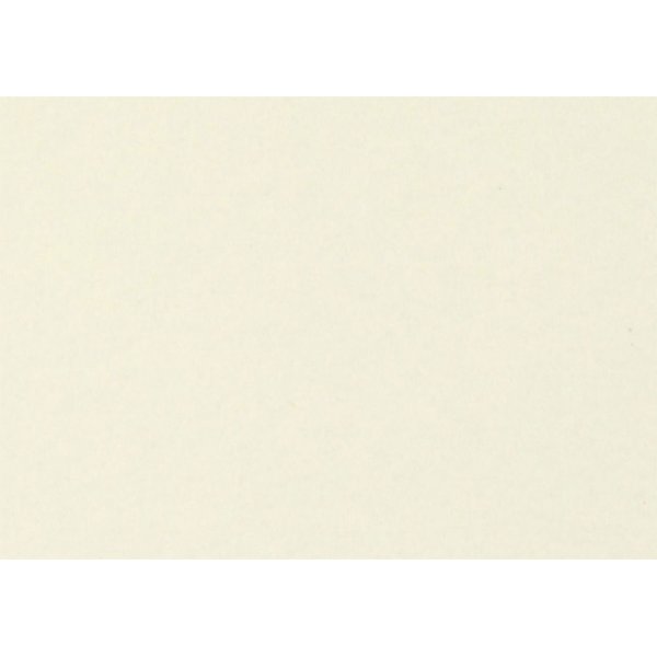 Papier/carton de fte - blanc cass - A4 - 25 feuilles