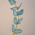 Image client Peinture aquarelle Gansai Tambi - 24 couleurs
