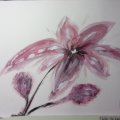 Image client Bloc aquarelle Sense 160g - A4