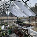 Image client B1 Voile ortie 300cm Blanc blanchi