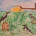 Image client Crayon aquarelle Albrecht D�rer - 174 Vert Chromium Opaque