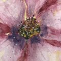 Image client Coffret aquarelle L&B en Métal - 12 Gobelets