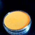 Image client PanPastel - Orange