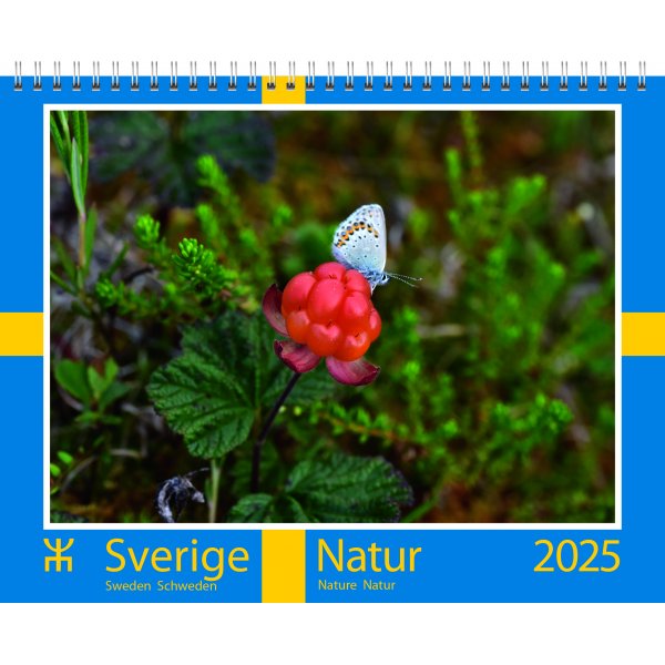 Calendrier mural - Sude - Almanacksfrlaget