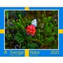 Calendrier mural - Sude - Almanacksfrlaget