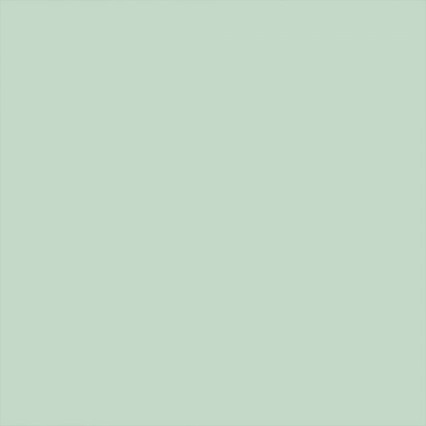 Coloration Plus Color Hobby - vert printemps - 60 ml