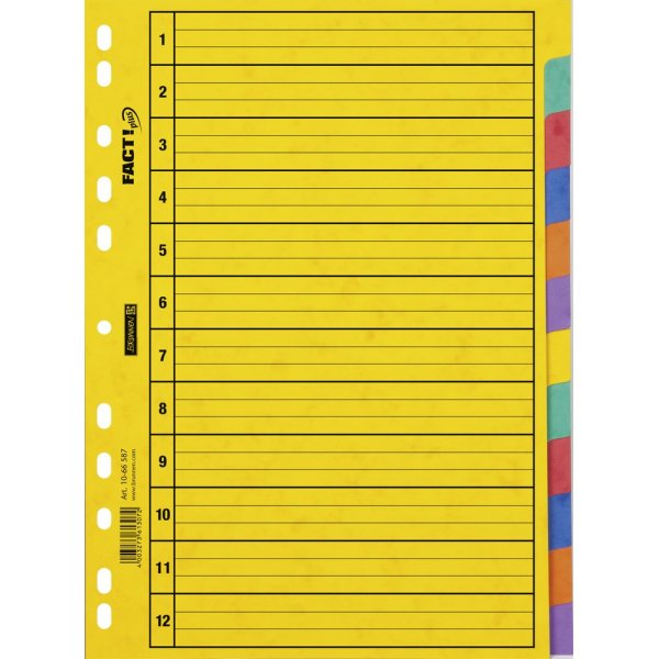 Index pour classeur  anneaux - carton dur A4 - 12 onglets