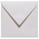 clat dor - Enveloppe 165x165 clat dor - Enveloppe 165x165