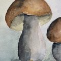 Image client Bloc Aquarelle Coll� Rough Grove Arches 300g - A4