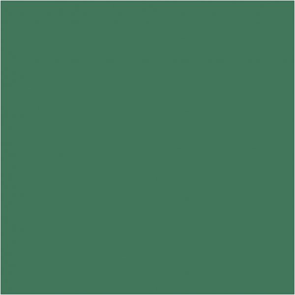 Peinture Plus Color Hobby - vert brillant - 60 ml