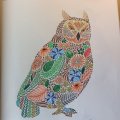 Image client Crayons de couleur Progresso - 12 crayons