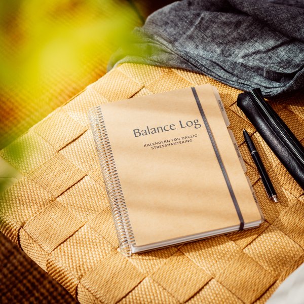 Journal de solde Journal de solde