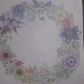 Image client Crayons de couleur - 36 crayons