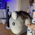 Image client 