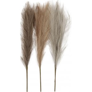 Herbe de la pampa - ivoire - marron clair - gris clair - 3 pcs Herbe de la pampa - ivoire - marron clair - gris clair - 3 pcs