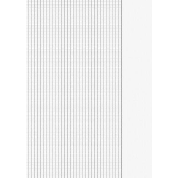 Pages volantes - doubles pages plies A3 (A4) - lignes (Type 26)