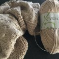 Image client Fil Viking Bambou 50g - Beige (607)