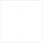 Cartes et enveloppes - blanc 16 x 16 cm - 50 sets
