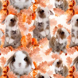 Tricot à motifs 150 cm - Lapin automne Tricot à motifs 150 cm - Lapin automne