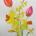 Image client Peinture aquarelle W&N Cotman Demi-tasse - 109 Teinte jaune de cadmium